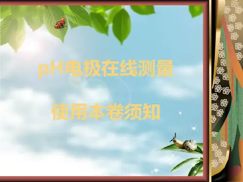 《H电极培训》幻灯片PPT