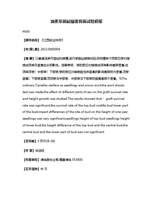 油茶芽苗砧嫁接育苗试验初报