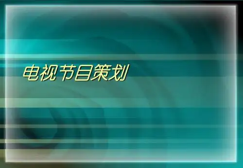 参考—电视节目策划PPT