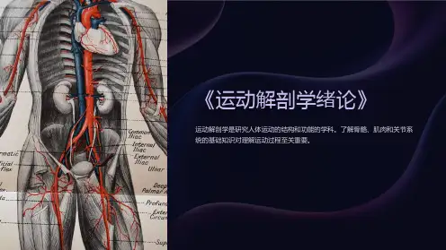 《运动解剖学绪论》课件