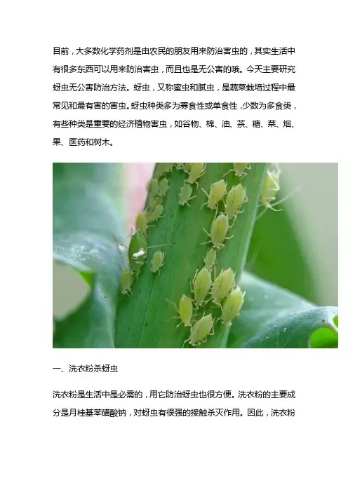 杀死蚜虫最好办法