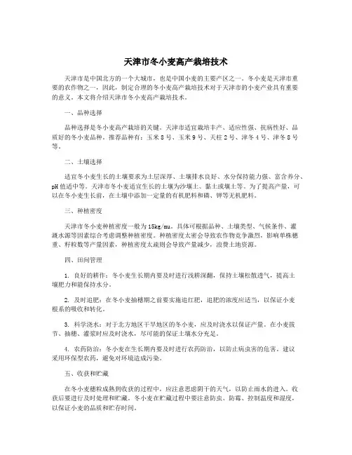 天津市冬小麦高产栽培技术