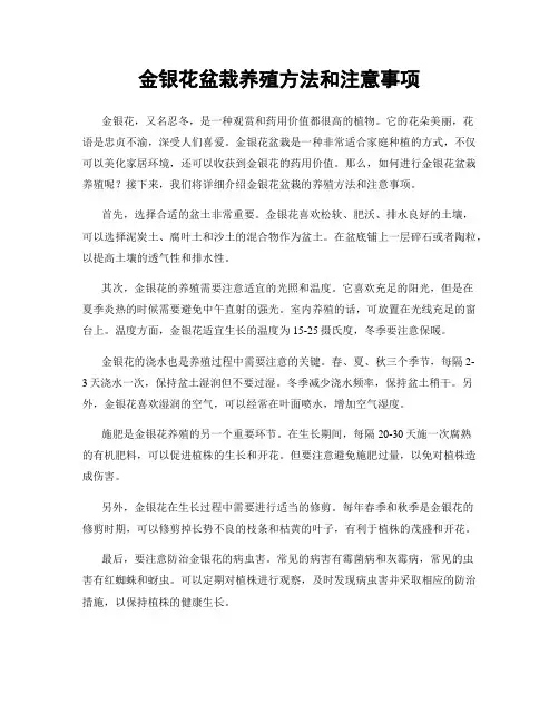 金银花盆栽养殖方法和注意事项