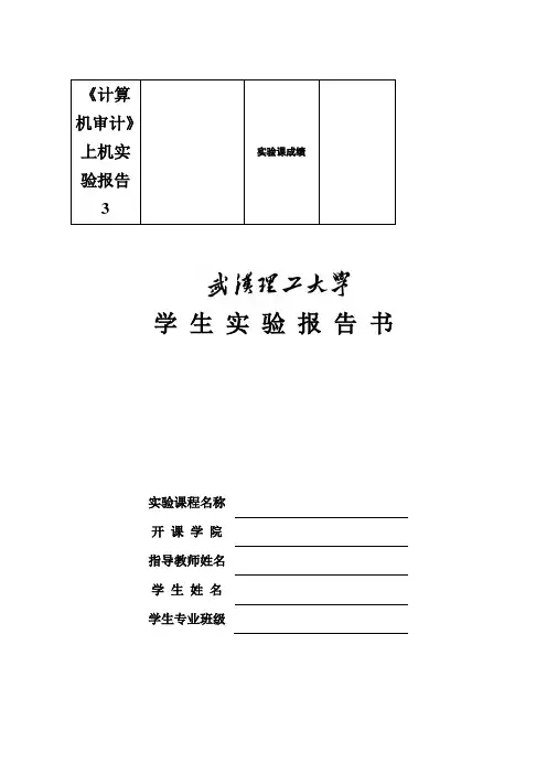 《计算机审计》上机实验报告3