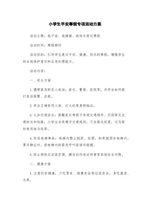 小学生平安寒假专项活动方案