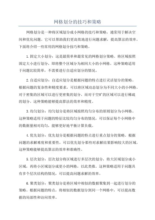 网格划分的技巧和策略