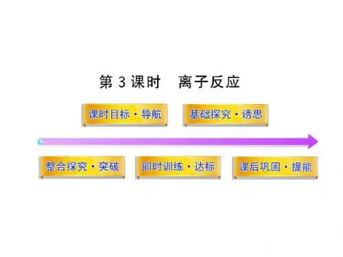 苏教版高中化学必修一课件2.2.3离子反应 (2)