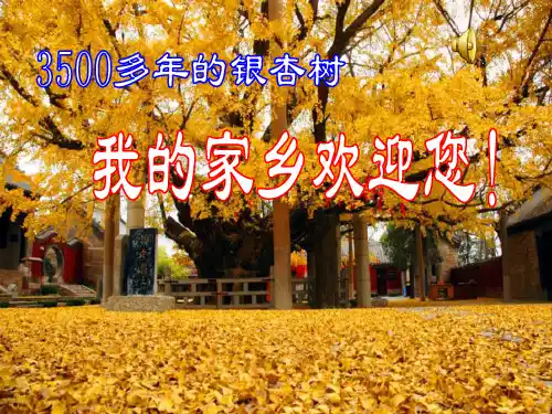 全国优质课一等奖九年级化学《水分子的运动和水的天然循环》ppt课件 (3)