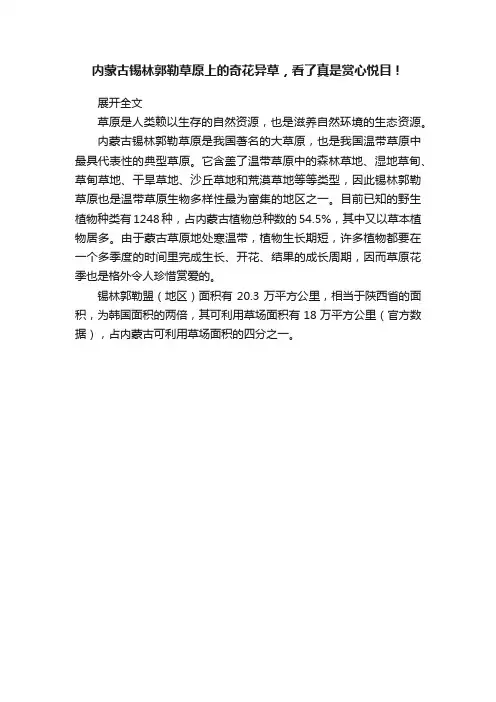 内蒙古锡林郭勒草原上的奇花异草，看了真是赏心悦目！