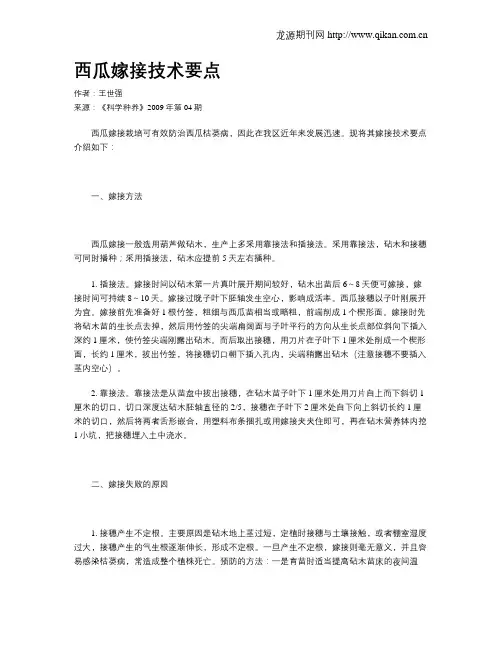 西瓜嫁接技术要点