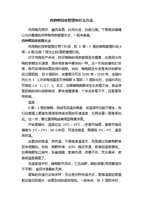 肉种鸭饲养管理有什么方法