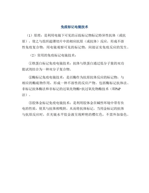 免疫标记电镜技术