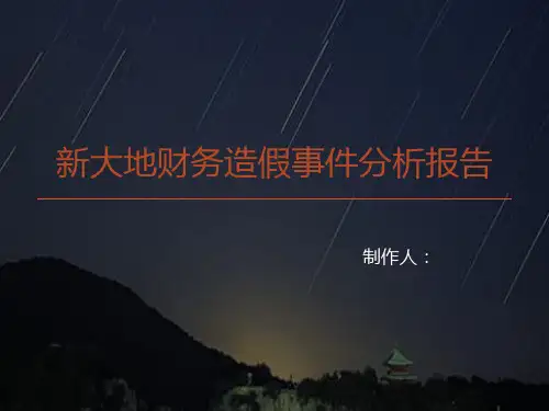 新大地财务造假分析
