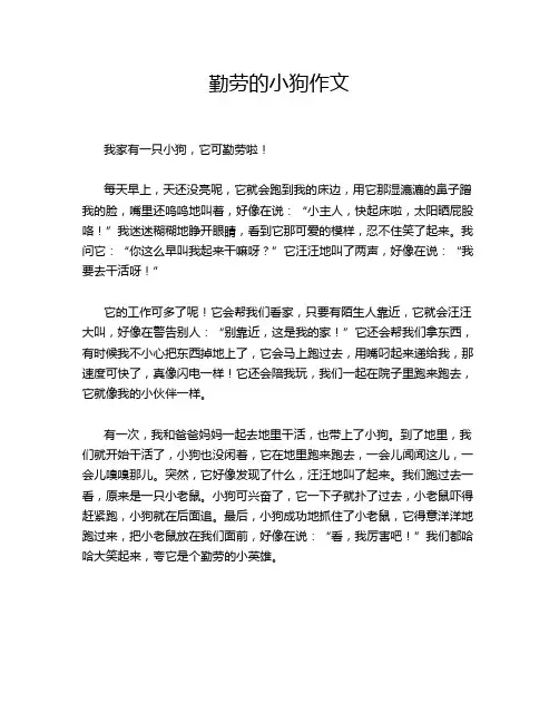 勤劳的小狗作文