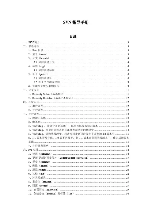 SVN指导手册