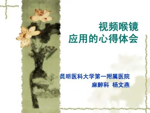 视频喉镜