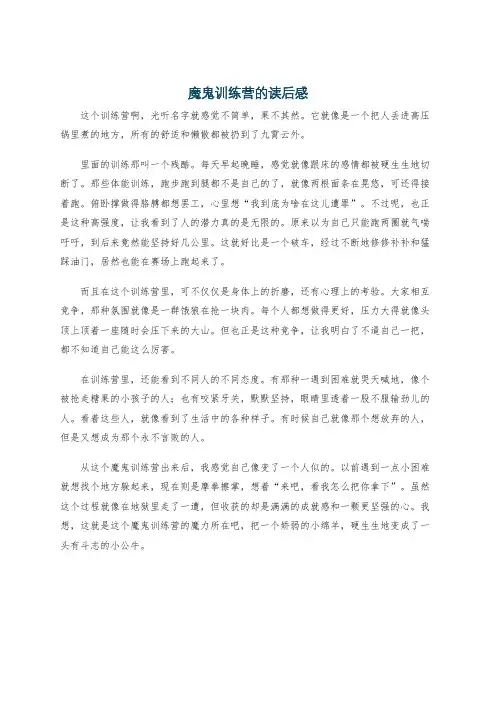 魔鬼训练营的读后感