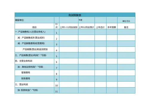 公司项目利润预算表