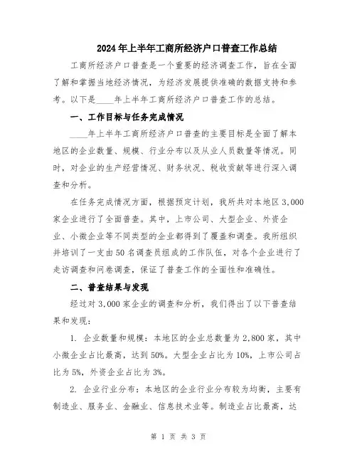 2024年上半年工商所经济户口普查工作总结