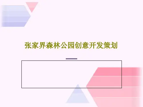 张家界森林公园创意开发策划30页PPT