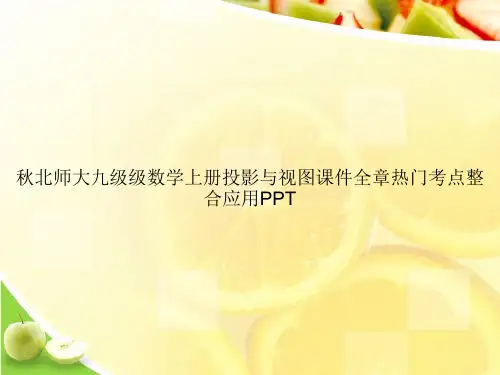秋北师大九级级数学上册投影与视图课件全章热门考点整合应用PPTppt文档