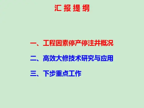 配套完善大修技术-实现老井存量创效ppt课件.ppt