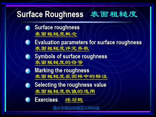 表面粗糙度
