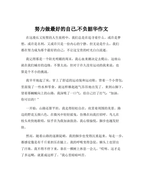 努力做最好的自己,不负韶华作文