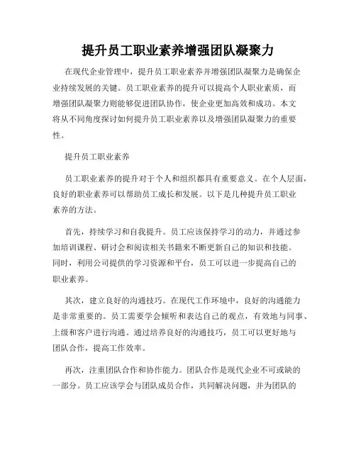 提升员工职业素养增强团队凝聚力