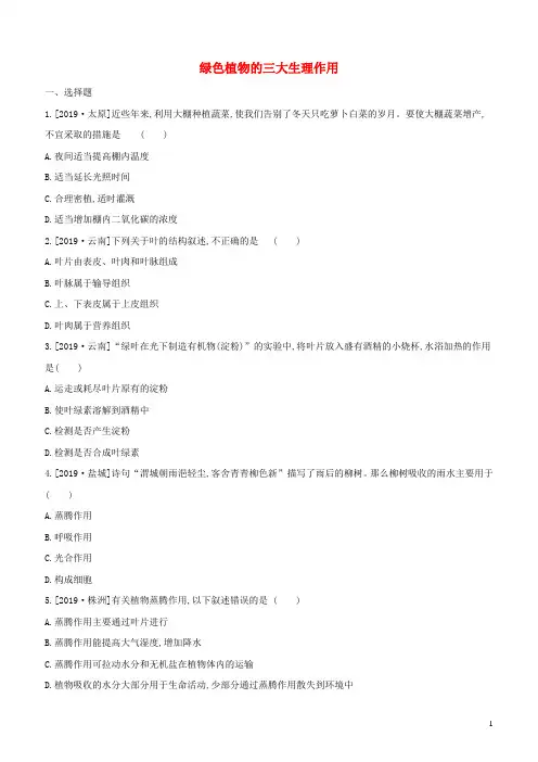 2020年中考生物复习专项练习：绿色植物的三大生理作用