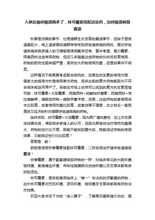 入秋后猪呼吸道病多了，林可霉素搭配这款药，治呼吸道病很霸道