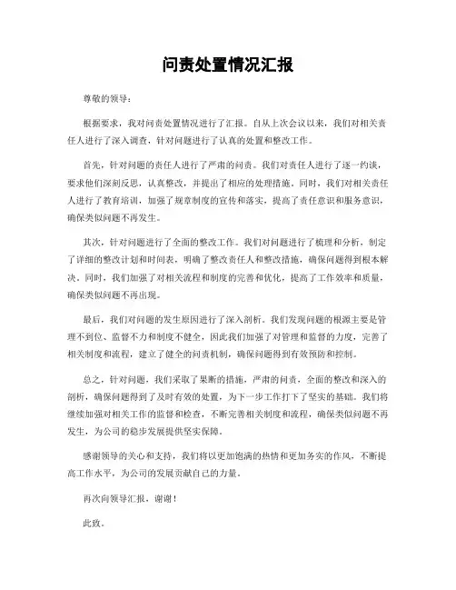 问责处置情况汇报