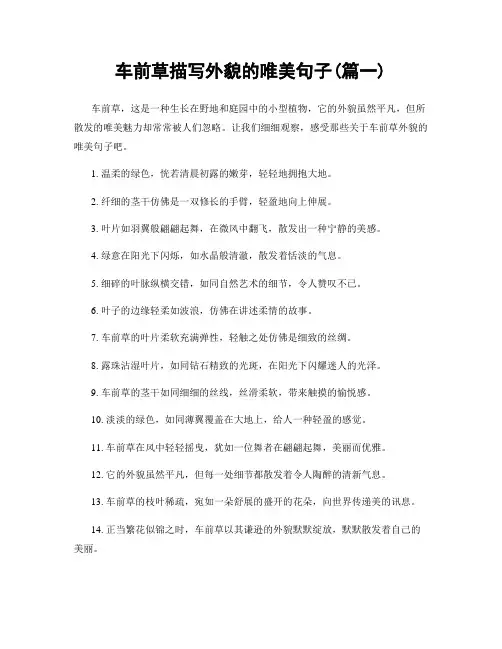 车前草描写外貌的唯美句子(精选两篇)