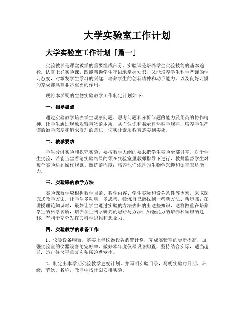 大学实验室工作计划