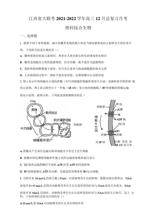江西省大联考2021-2022学年高三12月总复习月考理综生物试题及答案【完整版】