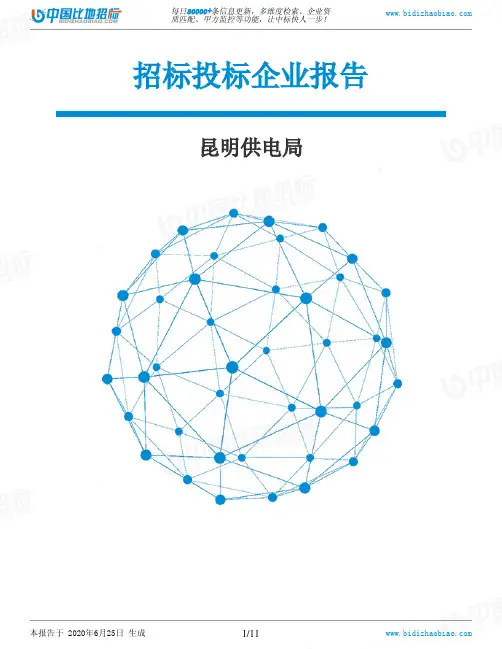 昆明供电局-招投标数据分析报告