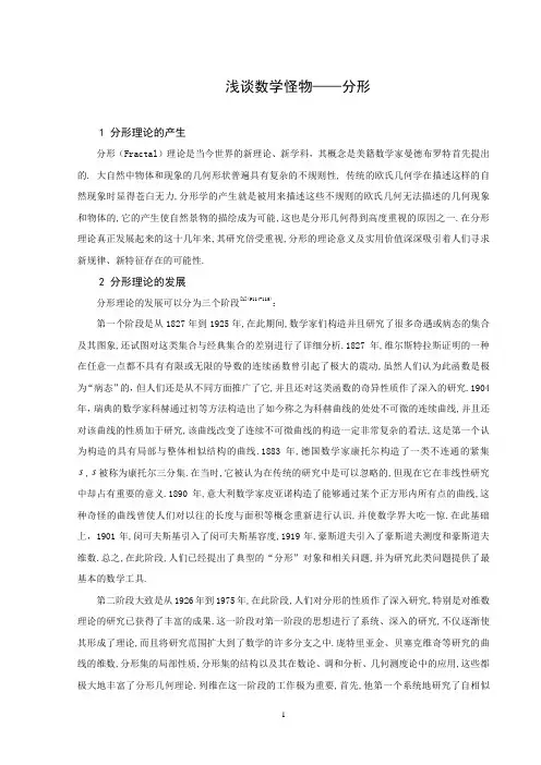 浅谈数学怪物——分形