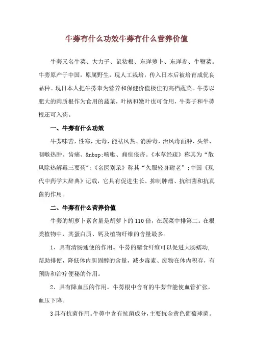 牛蒡有什么功效 牛蒡有什么营养价值