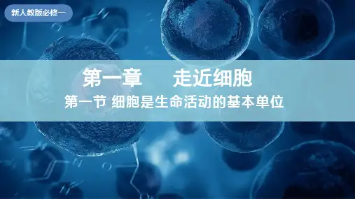 第1章第1节 细胞是生命活动的基本单位-高一生物上册课件(人教版2019必修1)