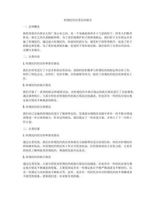 村规民约自查自纠报告