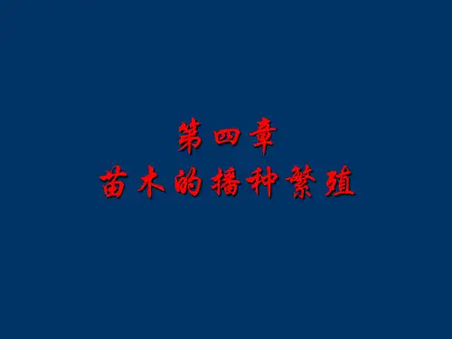 4苗木的播种繁殖
