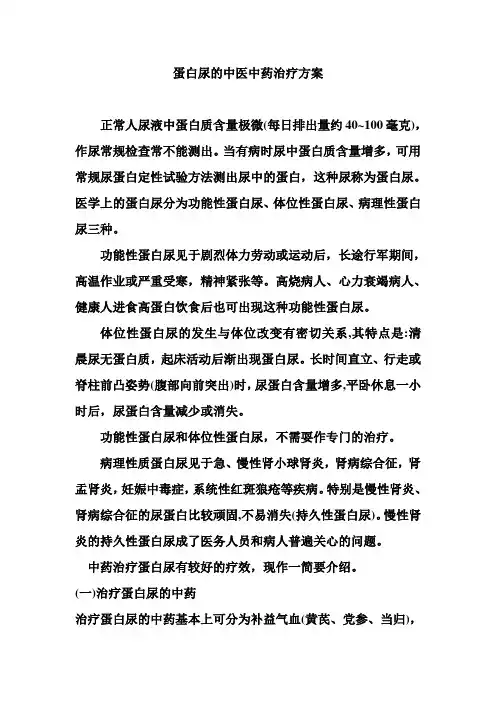 蛋白尿的中医中药治疗方案