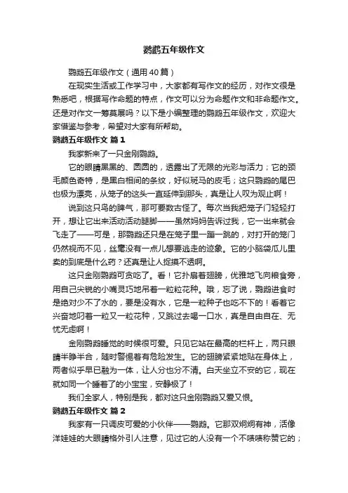 鹦鹉五年级作文（通用40篇）