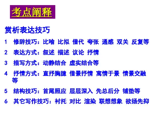 诗歌表达技巧之修辞手法新版