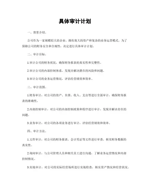 具体审计计划