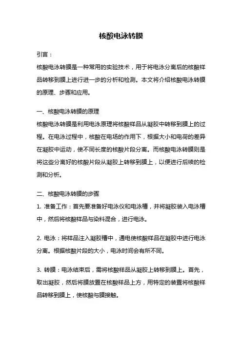 核酸电泳转膜