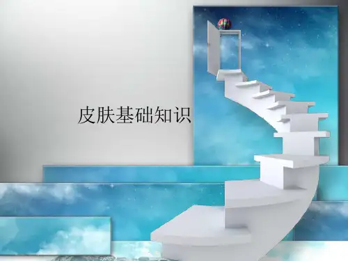 皮肤基础知识课件