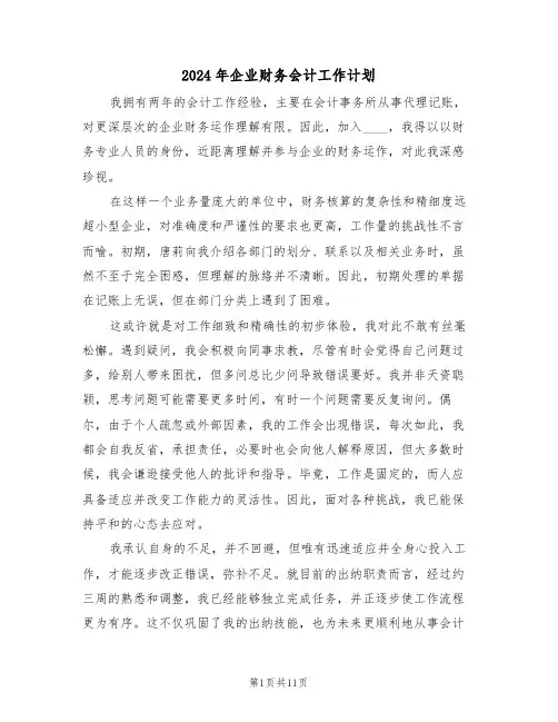 2024年企业财务会计工作计划（五篇）