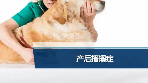 【宠物外产科病课件】产后搐搦症