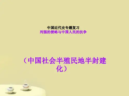 中国近代史专题复习 列强的侵略与中国人民的抗争课件